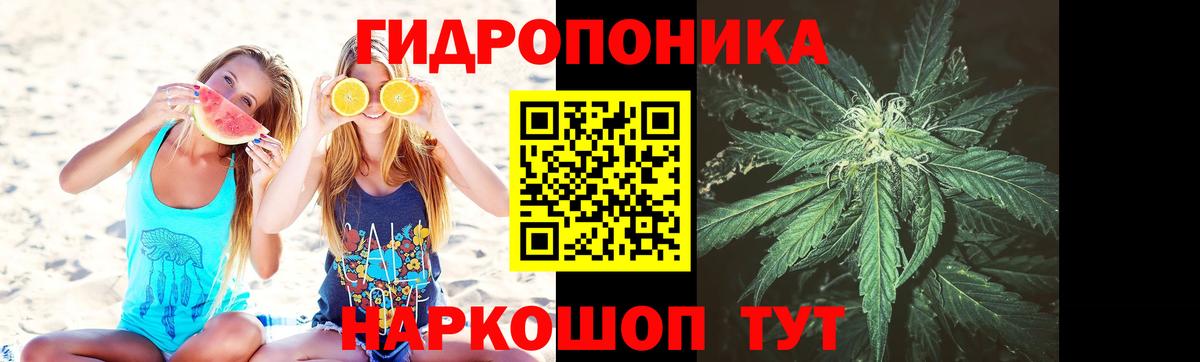 Каннабис конопля Камень-на-Оби